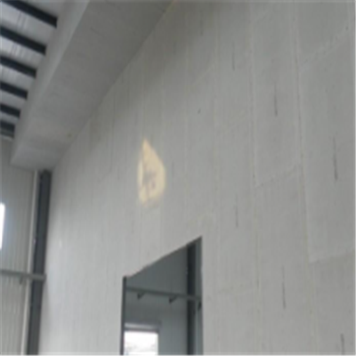 新田宁波ALC板|EPS加气板隔墙与混凝土整浇联接的实验研讨